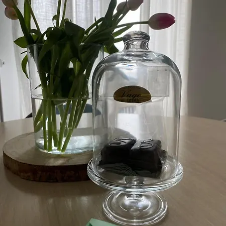 Apartment Salvia - Free Park *